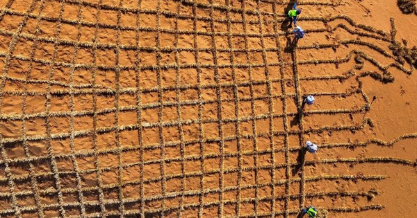 Phát minh chưa từng có trên thế giới của Trung Quốc: biến sa mạc thành đất màu mỡ chỉ trong 10 tháng, hiệu quả cao nhưng chi phí thấp