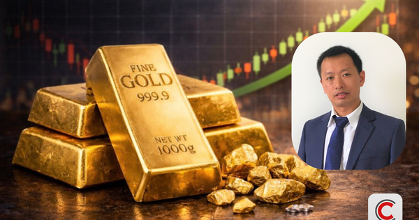 Vàng vật chất chỉ 500 tỷ USD nhưng giao dịch hàng trăm tỷ mỗi ngày: Ai thực sự điều khiển giá?