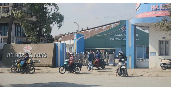 Công ty CP Đồ hộp Hạ Long vẫn dừng hoạt động sản xuất