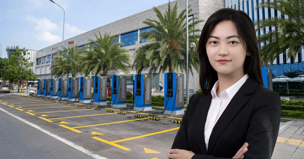 V-GREEN bổ nhiệm Chủ tịch Hội đồng Quản trị mới