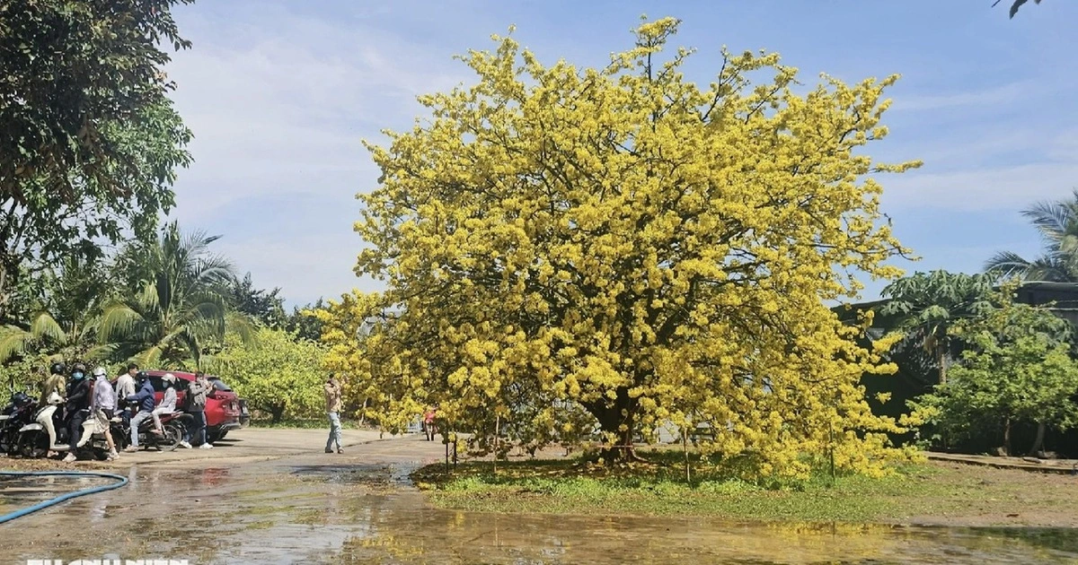 Nhiệt độ cao nhất Nam bộ hôm nay là 36,2 độ C, xuất hiện ở đâu?