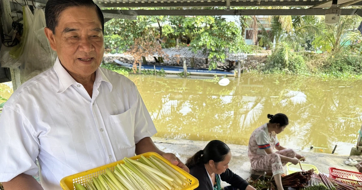 Làm giàu từ 'cỏ dại' ở vùng đất phèn mặn