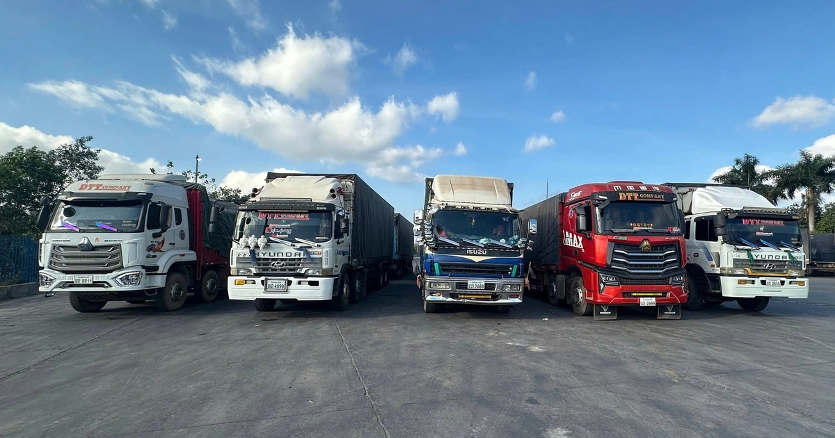 Cửa khẩu quốc tế Lao Bảo thông quan lô hàng đầu năm mới