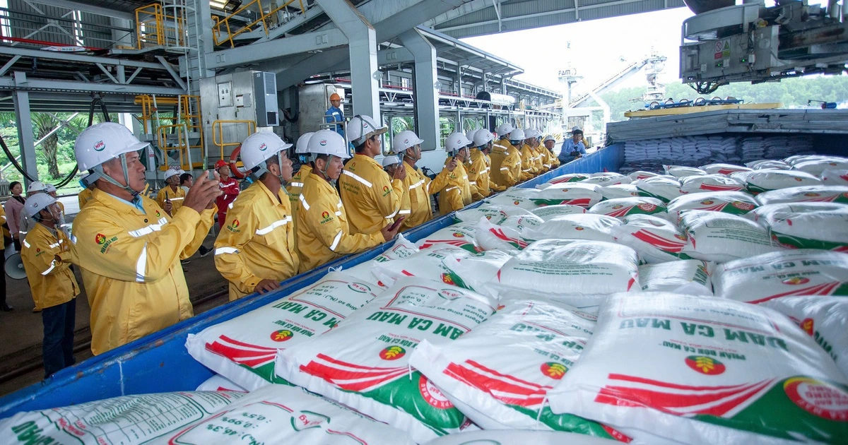 Phân bón Cà Mau xuất khẩu lô hàng đầu tiên sang Mỹ