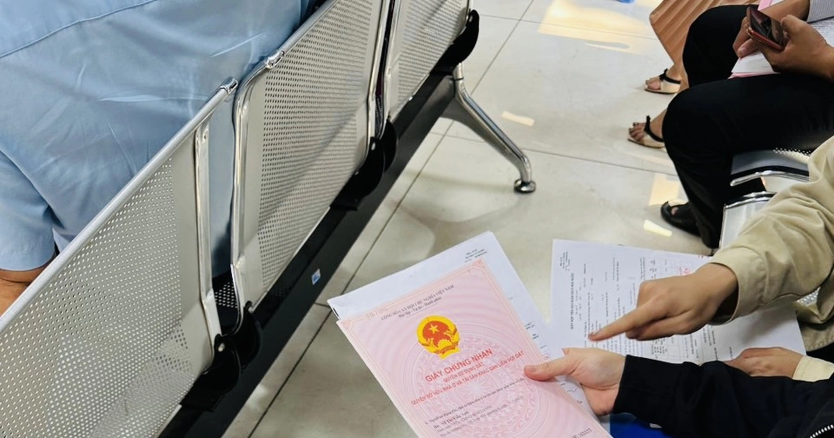 Lập đường dây nóng tiếp nhận, xử lý thông tin phản ánh vi phạm về đất đai