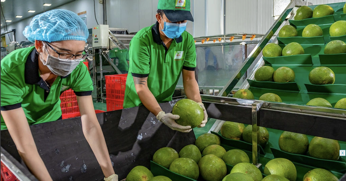 'Bỏ túi' hơn 6,5 tỉ USD từ xuất khẩu nông lâm sản