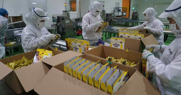 Một ‘đại bàng’ Nhật Bản chọn Việt Nam xây tổ, nước ta trở thành trung tâm xuất khẩu đi 12 nước