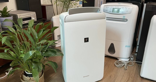 Món đồ hot nhất lúc này, đại lý nhập gấp 10 lần vẫn không kịp bán