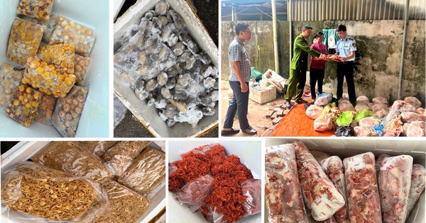 4 tấn nầm lợn, tràng trứng, chả mực, bạch tuộc… không rõ nguồn gốc suýt vào quán nhậu: Lời khai gây giật mình của chủ kho đông lạnh