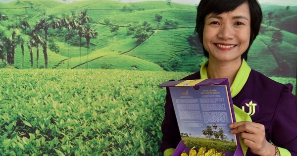 Hồi sinh loại cây từng bị đốn làm củi, chứa 'chất quý' gấp 135 lần bình thường, nữ giám đốc thu hơn 1 tỷ đồng/tấn