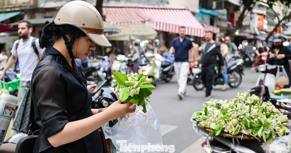 Hoa bưởi ngập phố Hà Nội, giá 'chát' vẫn đắt hàng