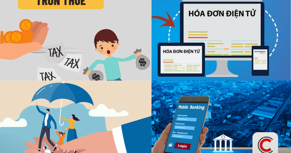 Cảnh báo loạt lỗi hộ kinh doanh, cá nhân kinh doanh thường mắc về đăng ký thuế, khai thuế và hóa đơn