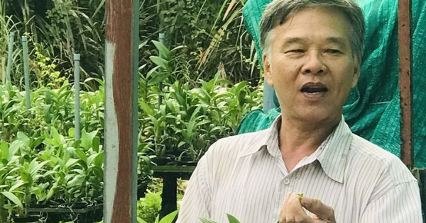 Kỳ lạ vườn cây "không có ngày nghỉ" ở TP HCM: Lão nông chỉ cần chạm màn hình mang về doanh thu 2 tỷ đồng/năm