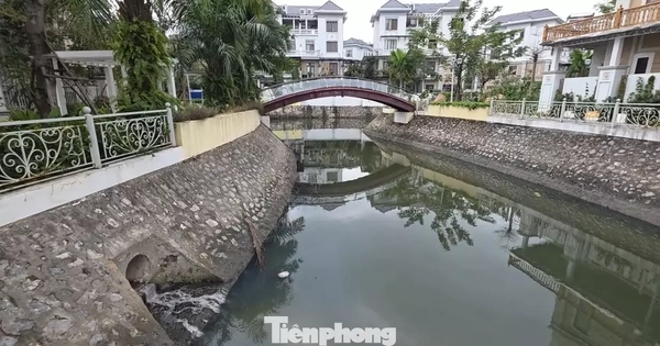 Cận cảnh ‘kênh khu nhà giàu’ ở Quảng Ninh ô nhiễm nặng