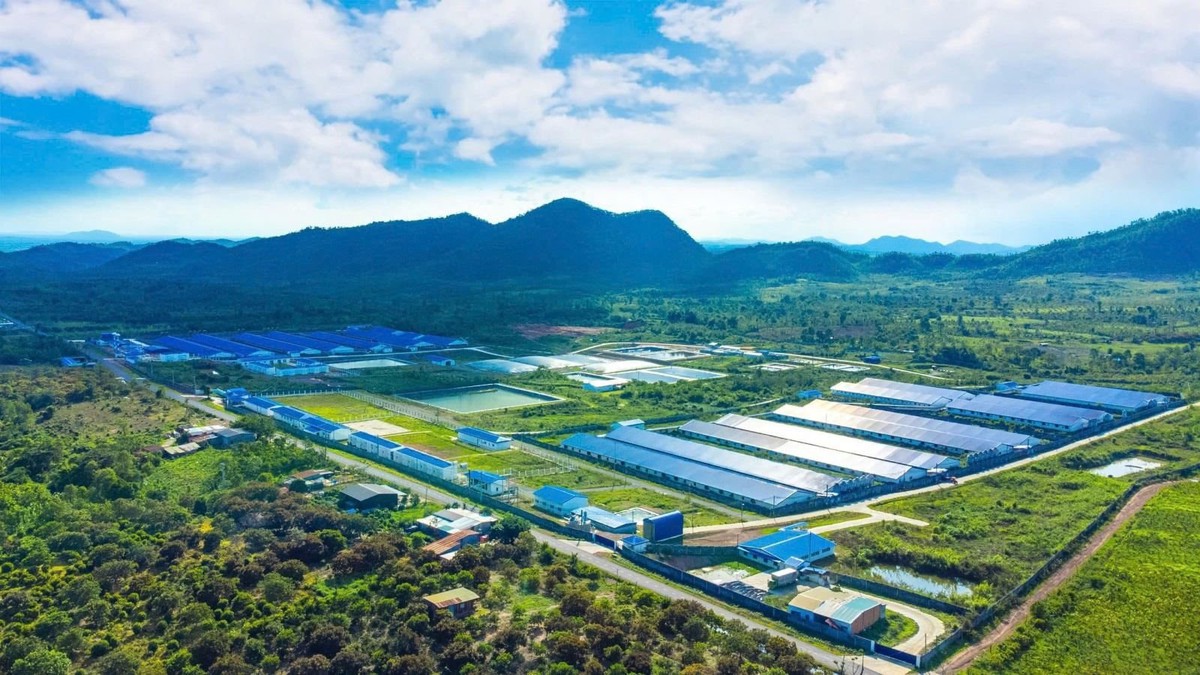 De Heus bắt tay Hùng Nhơn đầu tư 18.300 tỷ đồng thúc đẩy chuỗi chăn nuôi bền vững, mở đường cho xuất khẩu, hướng tới doanh thu 2 tỷ USD mỗi năm