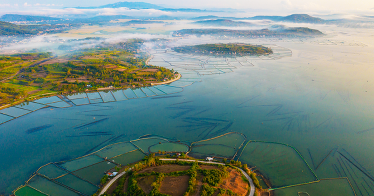 “Ông lớn” xây dựng Trung Quốc cùng Vingroup xây cầu Tứ Liên muốn đầu tư ít nhất 3,5 tỷ USD vào một tỉnh miền Trung có diện tích rộng thứ 3 cả nước