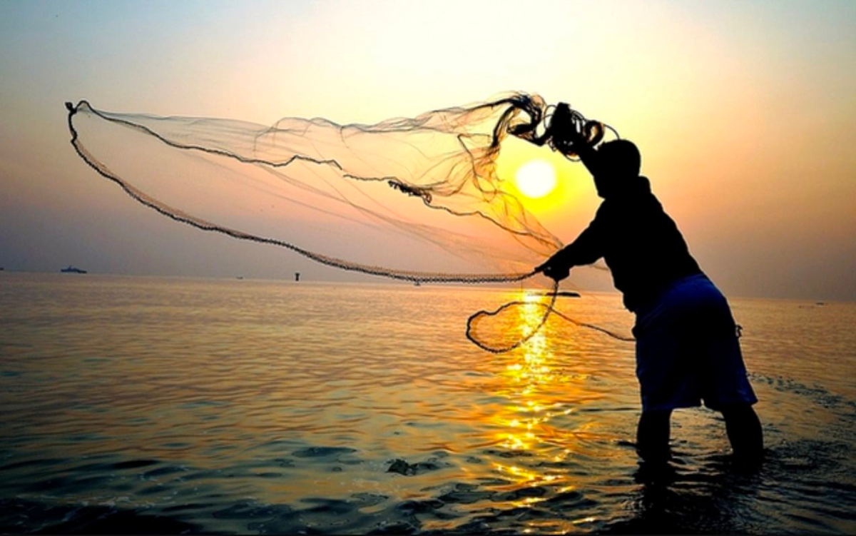 Chuyên gia cảnh báo một cái "bẫy" thường gặp trên thị trường chứng khoán