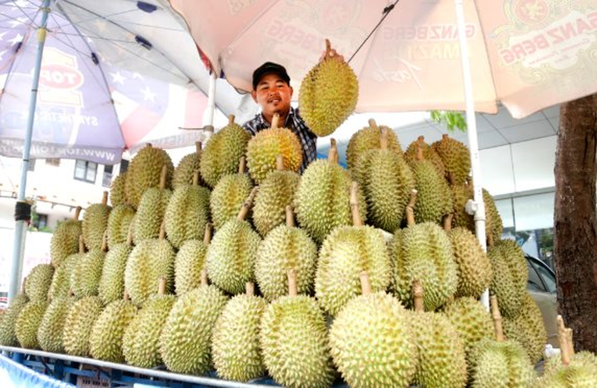 Đua với sầu riêng Việt Nam, Thái Lan ra nước cờ mới thông qua Lào