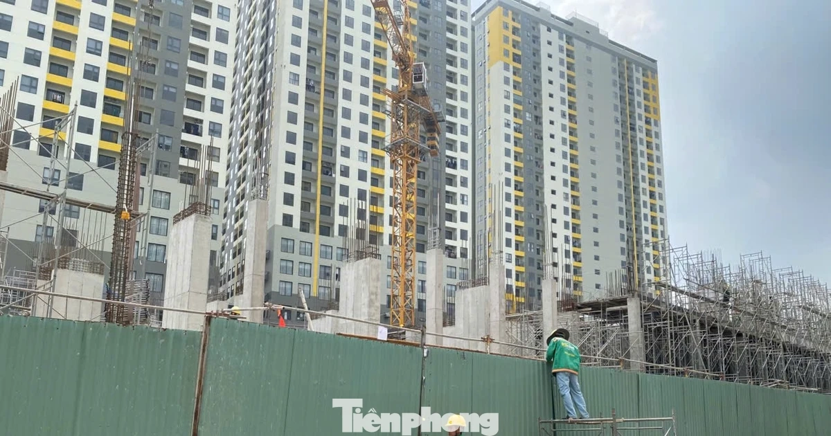 Giá căn hộ tăng hơn 300% trong 10 năm qua