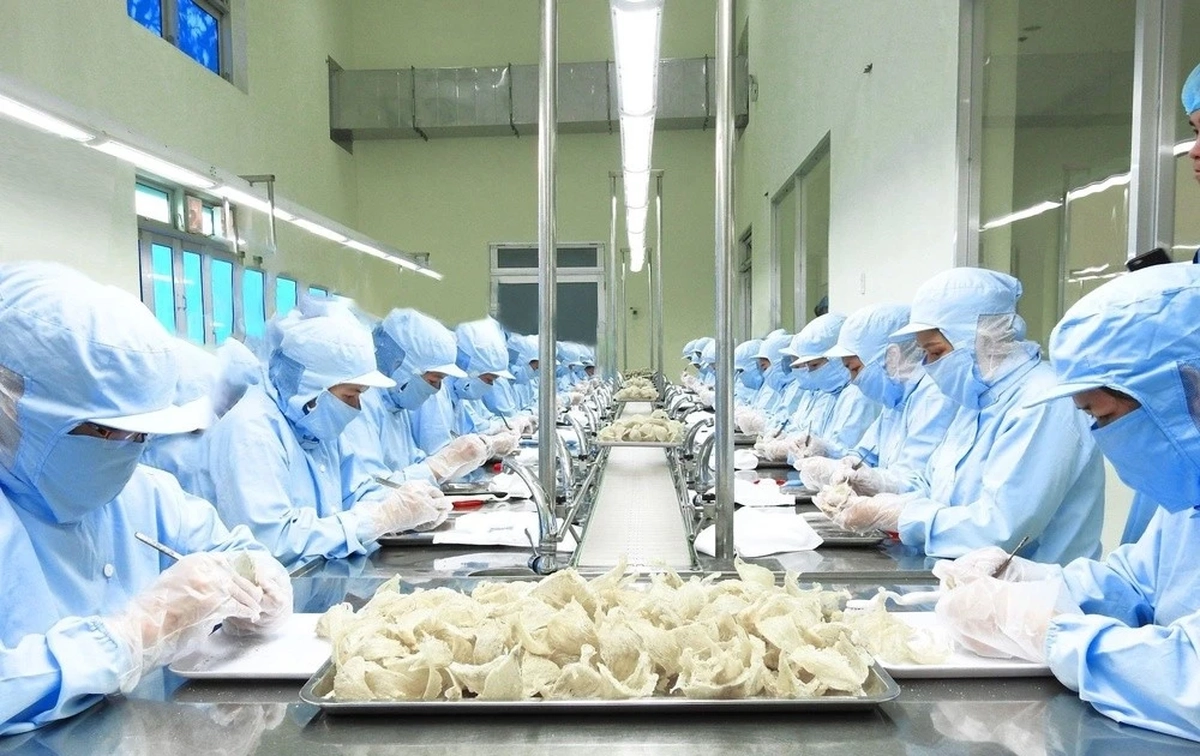 Lưu ý với nông sản Việt xuất Trung Quốc từ ngày 1/6