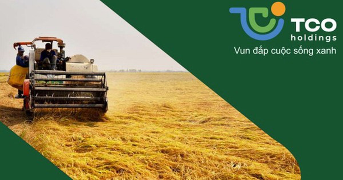 TCO Holdings muốn đầu tư vào Pacific Lines