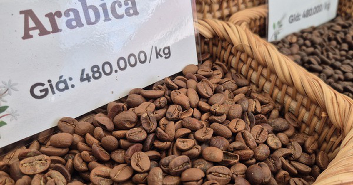Giá cà phê hôm nay 25-3: Arabica tăng nóng, vượt 7.000 USD/tấn