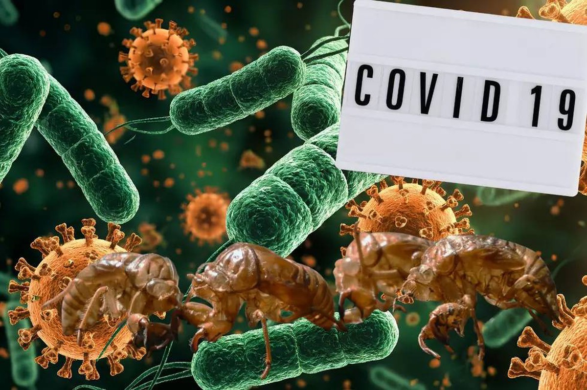 Biến thể COVID “Ve sầu” lây lan tại Mỹ, nguy cơ gây làn sóng dịch mới