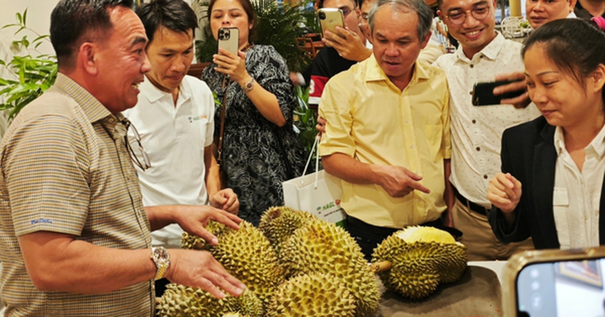 Công ty của bầu Đức tính trồng thêm 700 ha sầu riêng