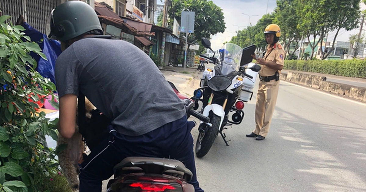 Nhiều người điều khiển xe máy ở TPHCM bị xử phạt do ngại đi đường vòng