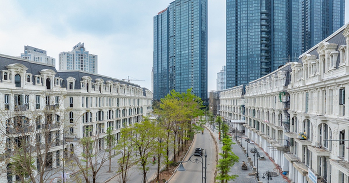 Sunshine Group công bố BCTC kiểm toán 2025, bứt phá lợi nhuận gần 11.300 tỷ