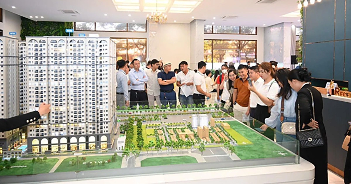 Maison Grand: Bài toán an cư chất lượng tại tâm điểm hạ tầng cảng biển Phú Mỹ