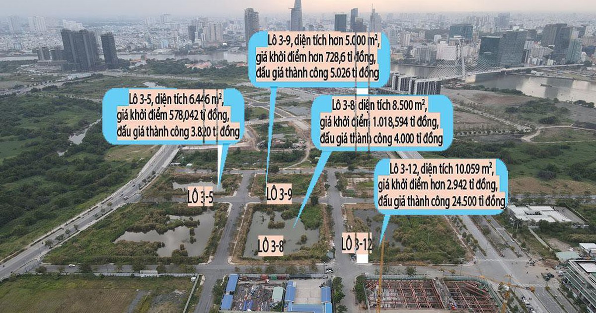 TP.HCM đấu giá 2,74 triệu m2 đất