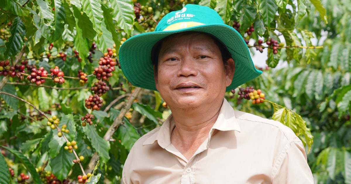 Cà phê Việt từng bước khẳng định vị thế tại thị trường quốc tế