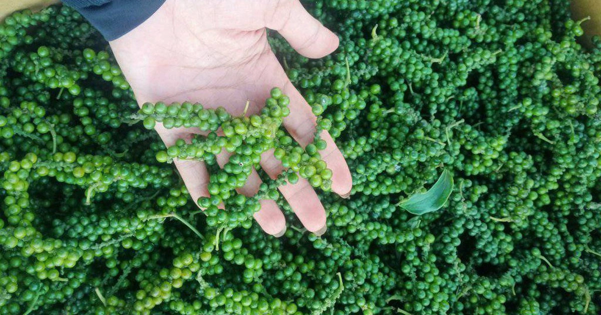 EU siết kiểm soát nông sản nhập khẩu, hàng Việt Nam gặp khó