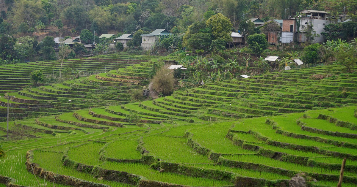 Ưu đãi của tỉnh Thanh Hóa cho các dự án đầu tư trong 5 năm tới