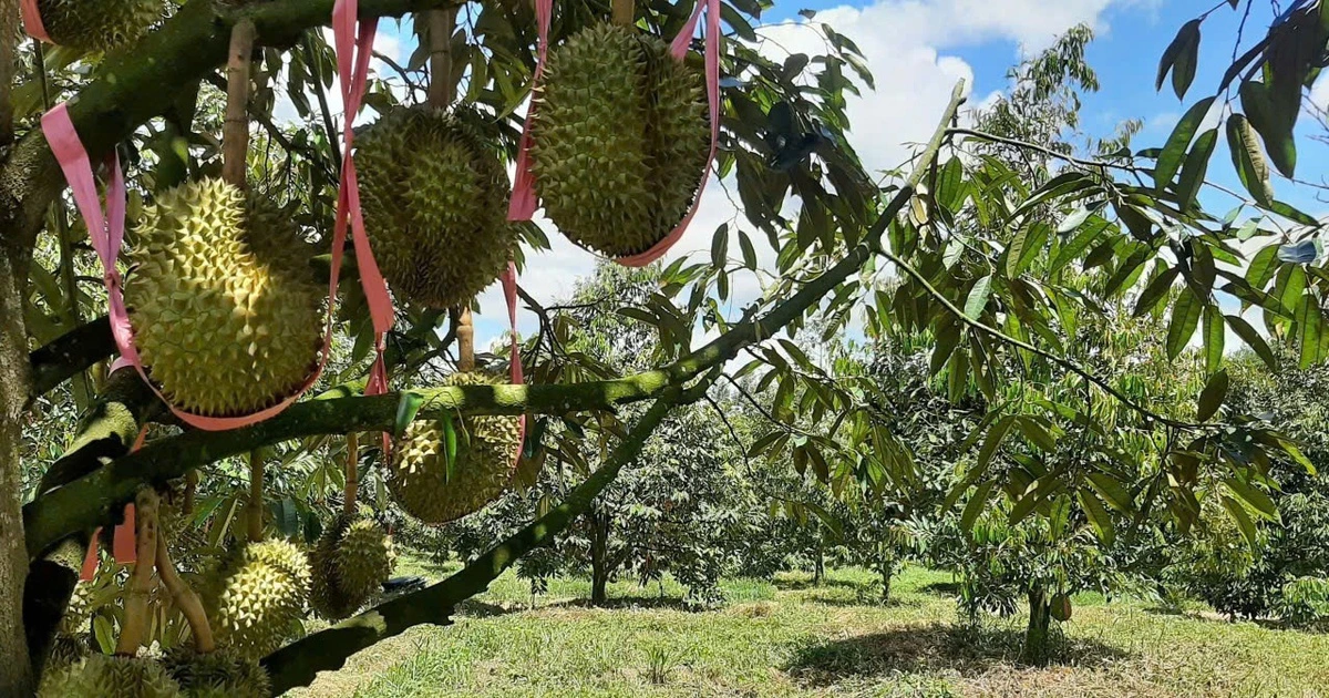 Hoàng Anh Gia Lai trả nợ trái phiếu gần 1.100 tỉ đồng trước hạn