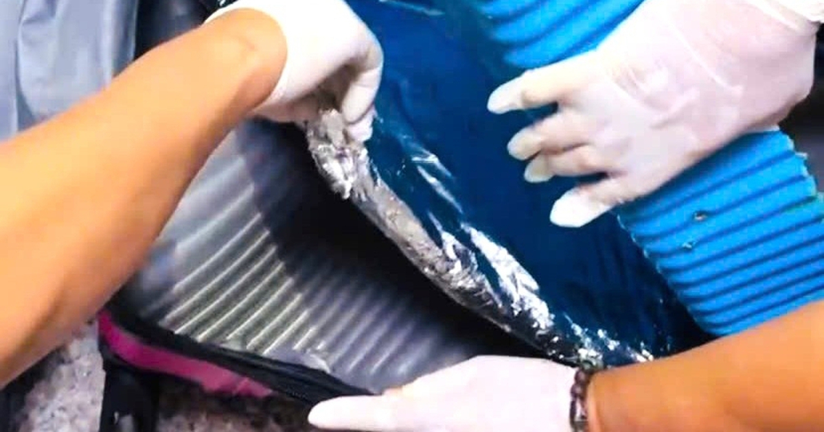 Tết Bính Ngọ, Hải quan Tân Sơn Nhất phát hiện bắt giữ 4,5kg cocain