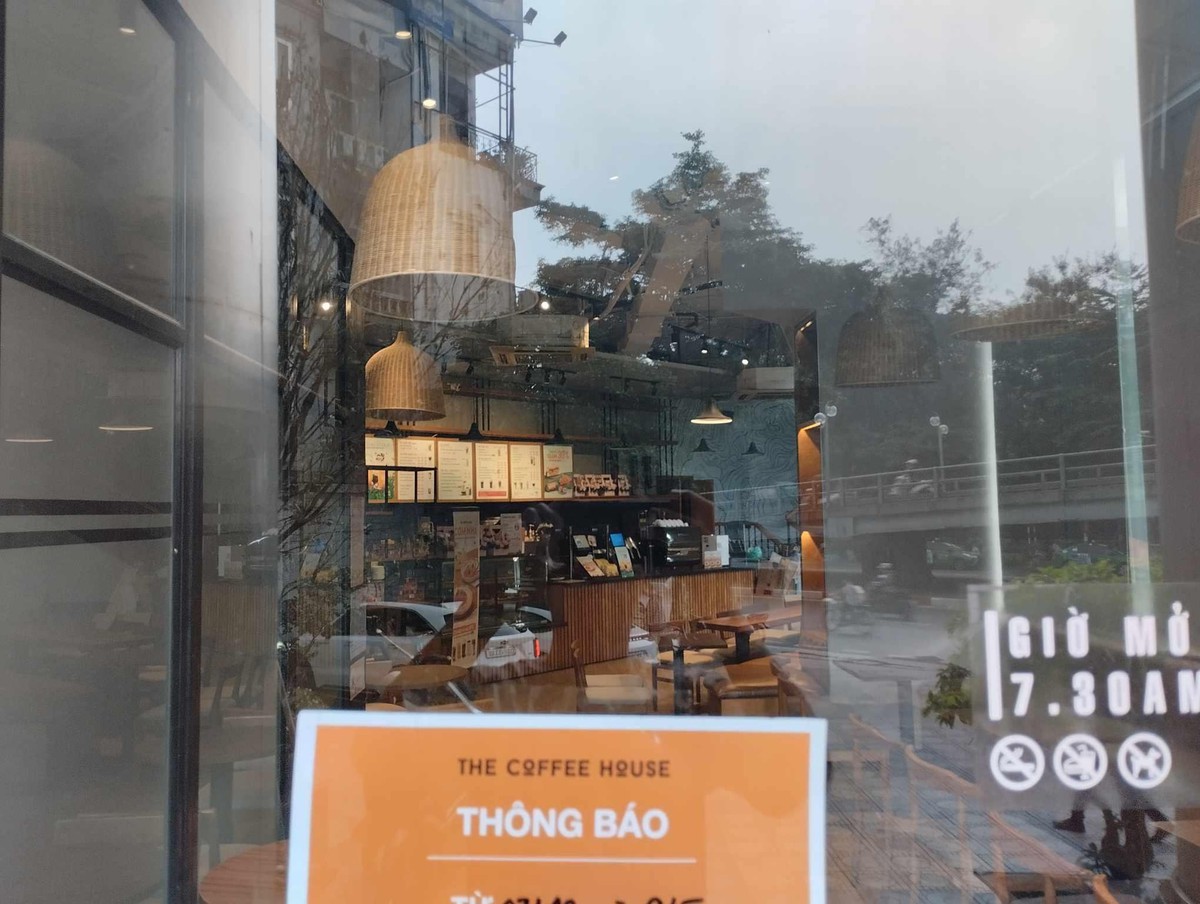 The Coffee House lỗ 6,4 tỷ đồng trong năm 2025, 'góp' cho Golden Gate khoản lỗ tổng cộng 73,7 tỷ đồng