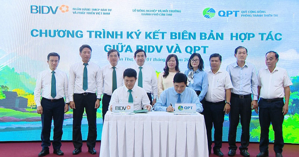 BIDV và QPT hợp tác trồng 240.000 cây xanh tại Đồng bằng sông Cửu Long